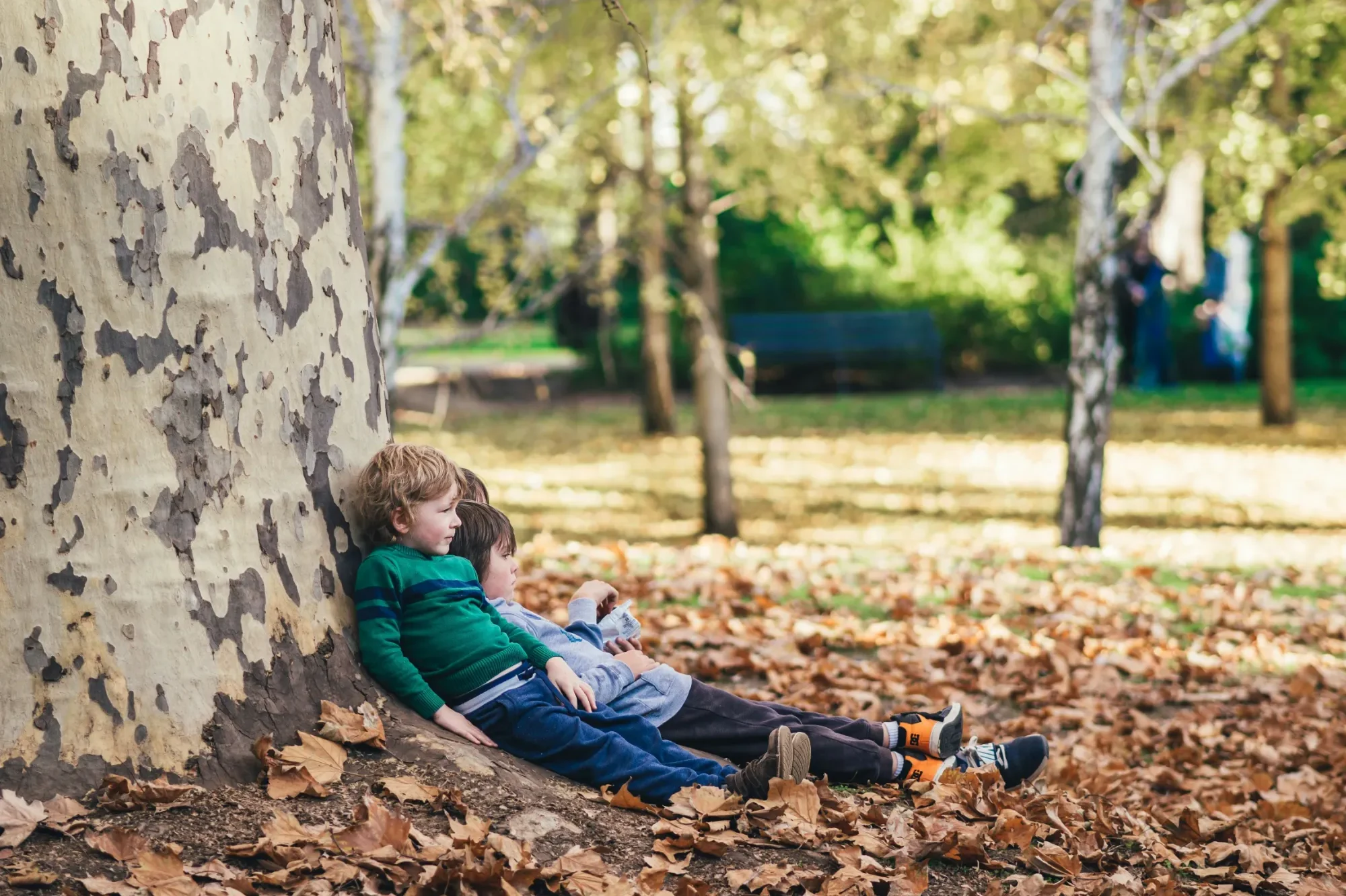 Familienrituale für eine nachhaltige Wertevermittlung Zwei Kinder sitzen an einem Baumstamm in einem herbstlichen Park.