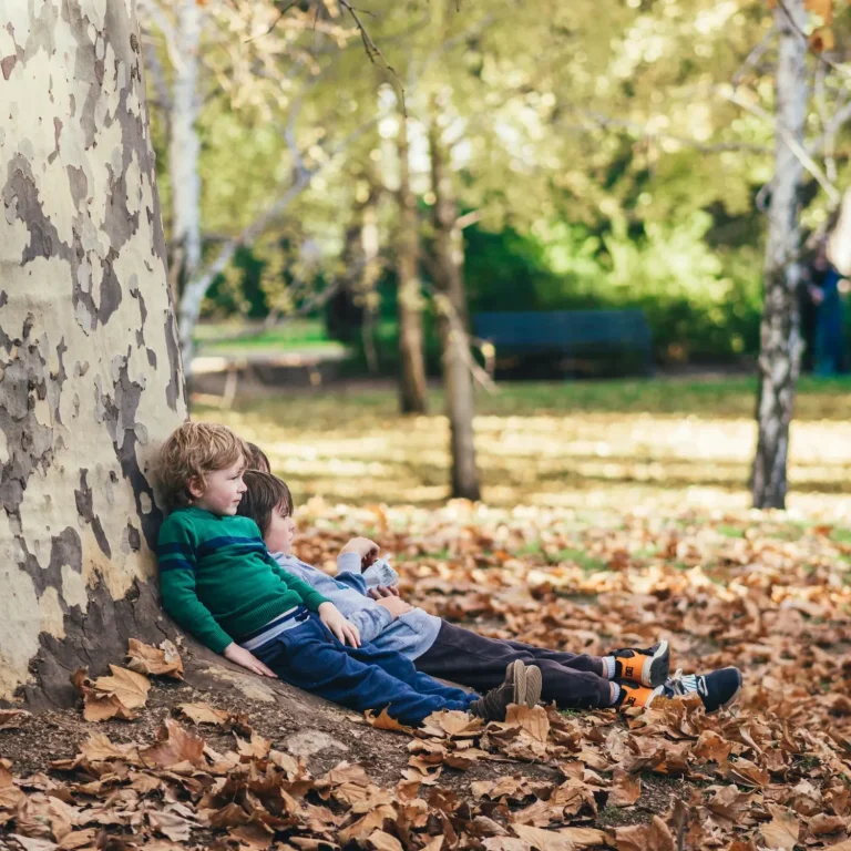 Familienrituale für eine nachhaltige Wertevermittlung bei Kindern Zwei Jungen sitzen an einem Baum, umgeben von herabgefallenem Laub.