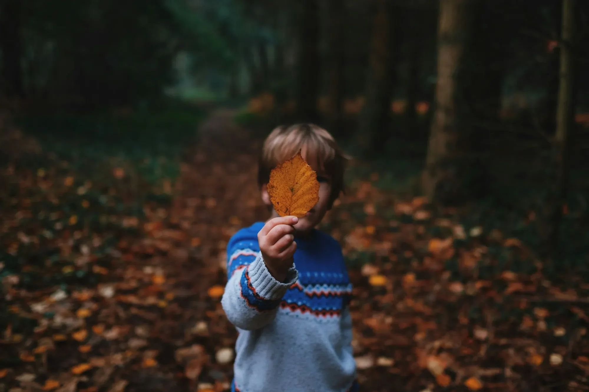 The biggest mistakes parents make in teaching values Junge hält ein Blatt vor sich in einem bewaldeten Bereich mit herbstlichen Farben.